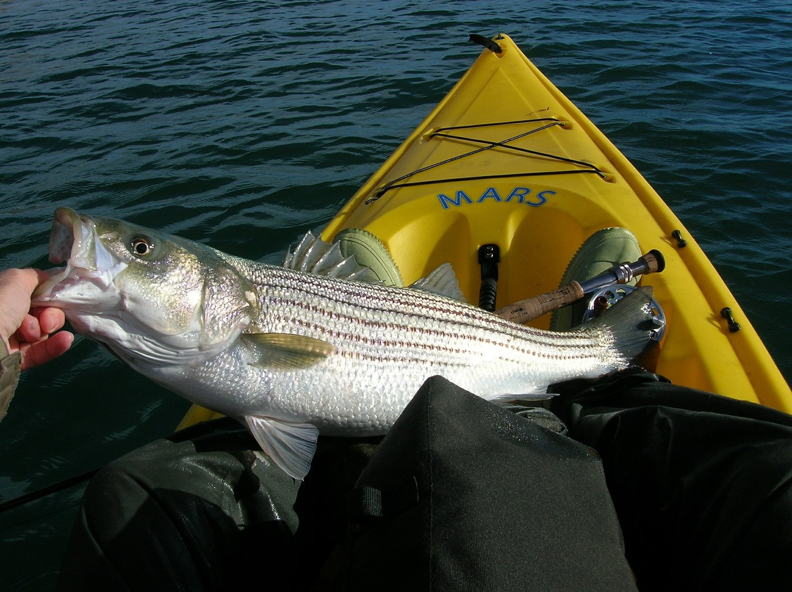 fishing kayak for 2 people
