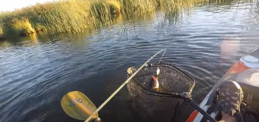 best kayak fishing net