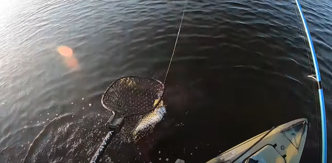 things to consider when buying a kayak fishing net